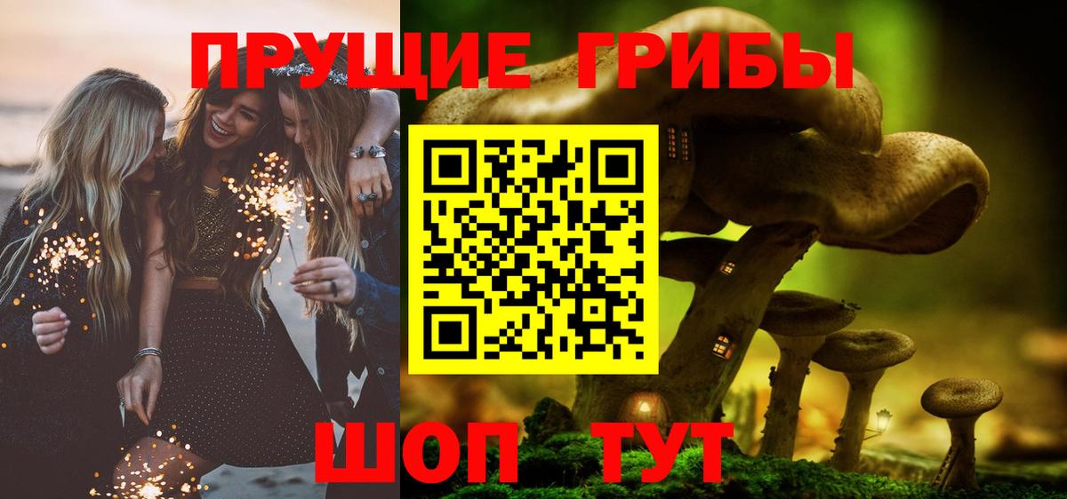 Реутов  Псилоцибиновые грибы Psilocybine cubensis  Вход с VPN 